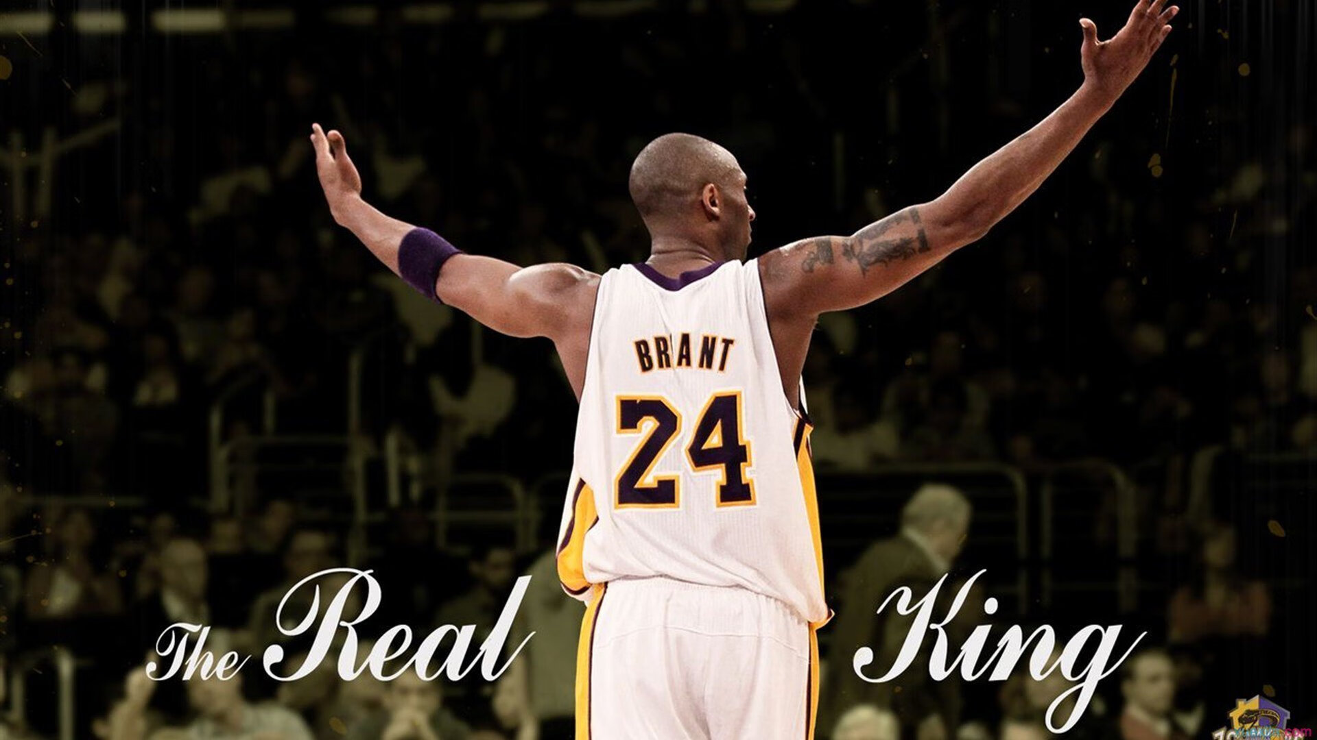 布鲁诺·卡博克洛成为NBA社交媒体关注焦点，布鲁卡洛斯